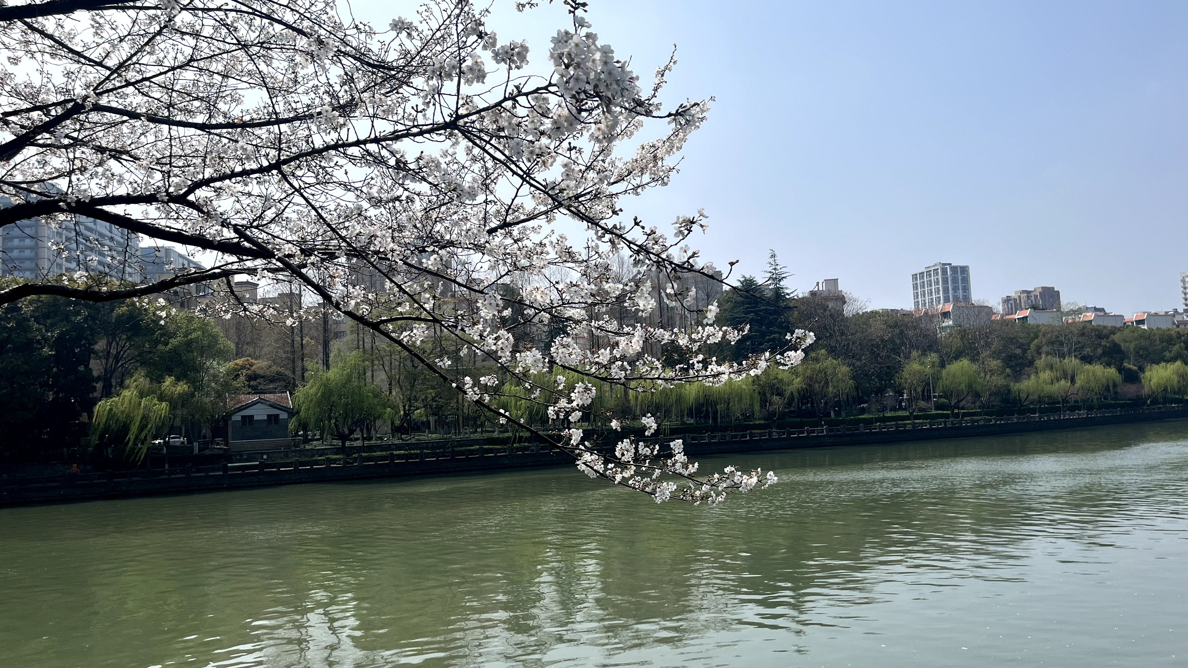 【春】京杭大运河畔